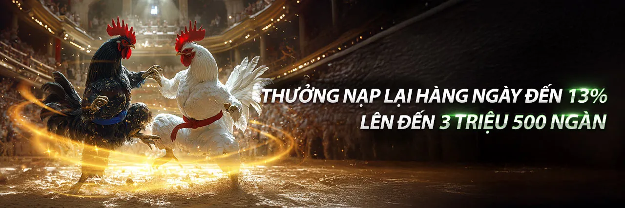 Khuyến mãi thể thao ke9f hấp dẫn