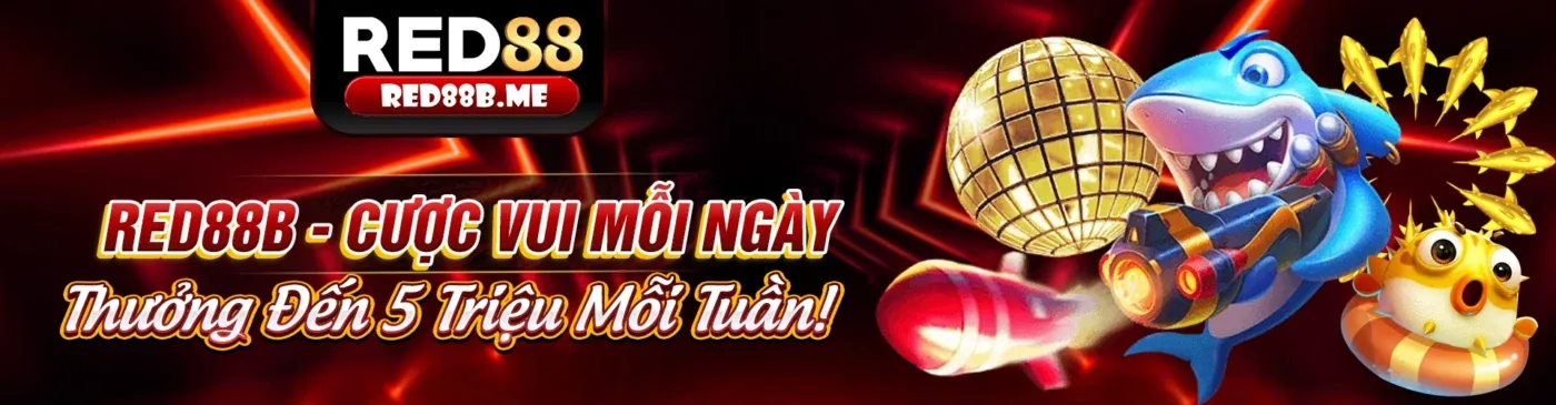 Hình ảnh ưu đãi độc quyền tại ke9f trang chủ chính thức